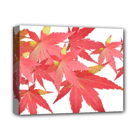 Leaves Maple Branch Autumn Fall Deluxe Canvas 14  X 11  by Sapixe