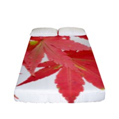 Leaves Maple Branch Autumn Fall Fitted Sheet (full/ Double Size) by Sapixe