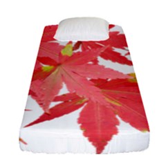 Leaves Maple Branch Autumn Fall Fitted Sheet (single Size) by Sapixe