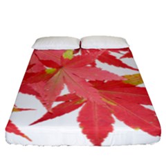 Leaves Maple Branch Autumn Fall Fitted Sheet (queen Size) by Sapixe