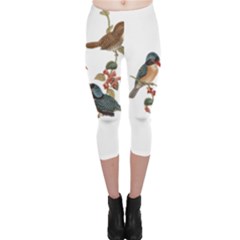 Bird Birds Branch Flowers Vintage Capri Leggings  by Sapixe