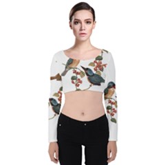 Bird Birds Branch Flowers Vintage Velvet Crop Top