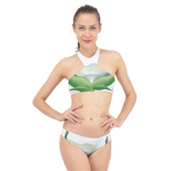 Pearl Drop Flower Plant High Neck Bikini Set by Sapixe