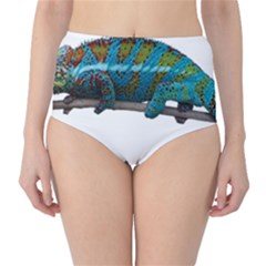 Reptile Lizard Animal Isolated Classic High-waist Bikini Bottoms by Sapixe