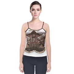 Night Butterfly Butterfly Giant Velvet Spaghetti Strap Top