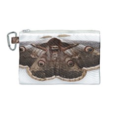 Night Butterfly Butterfly Giant Canvas Cosmetic Bag (medium) by Sapixe