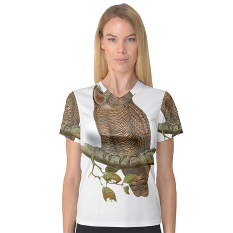 Bird Owl Animal Vintage Isolated V-neck Sport Mesh Tee by Sapixe