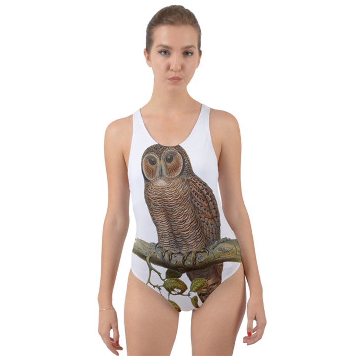 Bird Owl Animal Vintage Isolated Cut-Out Back One Piece Swimsuit