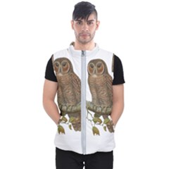 Bird Owl Animal Vintage Isolated Men s Puffer Vest by Sapixe