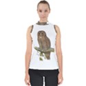 Bird Owl Animal Vintage Isolated Shell Top View1