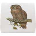 Bird Owl Animal Vintage Isolated Seat Cushion View1