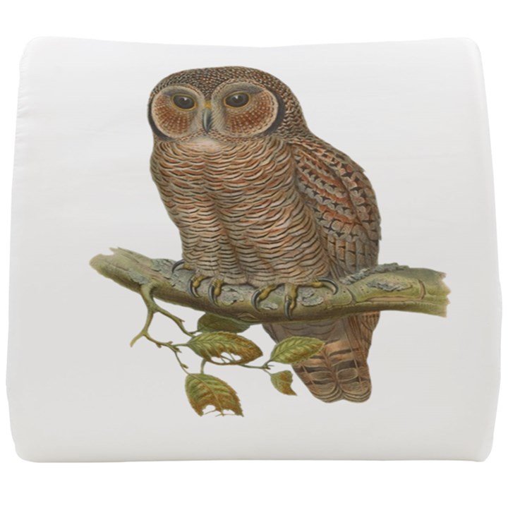 Bird Owl Animal Vintage Isolated Seat Cushion