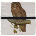 Bird Owl Animal Vintage Isolated Seat Cushion View4