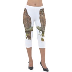 Bird Owl Animal Vintage Isolated Lightweight Velour Capri Leggings 