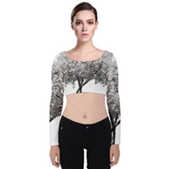 Nature Tree Blossom Bloom Cherry Velvet Crop Top by Sapixe