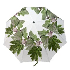 Leaves Plant Branch Nature Foliage Folding Umbrellas by Sapixe