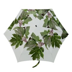 Leaves Plant Branch Nature Foliage Mini Folding Umbrellas by Sapixe