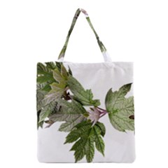 Leaves Plant Branch Nature Foliage Grocery Tote Bag by Sapixe