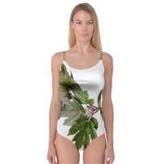 Leaves Plant Branch Nature Foliage Camisole Leotard  by Sapixe