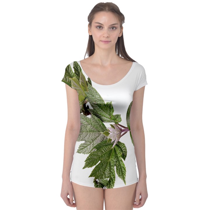 Leaves Plant Branch Nature Foliage Boyleg Leotard 