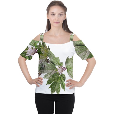 Leaves Plant Branch Nature Foliage Cutout Shoulder Tee by Sapixe