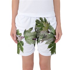 Leaves Plant Branch Nature Foliage Women s Basketball Shorts by Sapixe