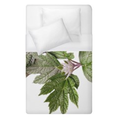 Leaves Plant Branch Nature Foliage Duvet Cover (single Size) by Sapixe