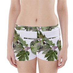 Leaves Plant Branch Nature Foliage Boyleg Bikini Wrap Bottoms by Sapixe