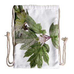 Leaves Plant Branch Nature Foliage Drawstring Bag (large) by Sapixe