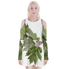 Leaves Plant Branch Nature Foliage Velvet Long Sleeve Shoulder Cutout Dress by Sapixe