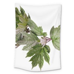 Leaves Plant Branch Nature Foliage Large Tapestry by Sapixe