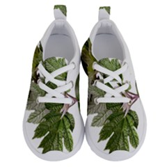 Leaves Plant Branch Nature Foliage Running Shoes