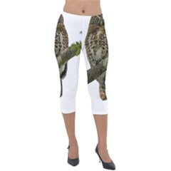 Owl Bird Lightweight Velour Capri Leggings 