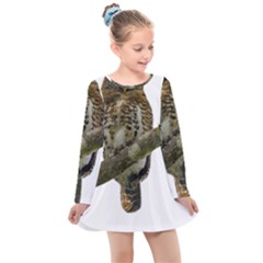 Owl Bird Kids  Long Sleeve Dress