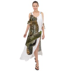 Owl Bird Maxi Chiffon Cover Up Dress by Sapixe