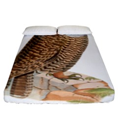 Bird Owl Animal Vintage Isolated Fitted Sheet (king Size) by Sapixe