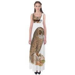 Bird Owl Animal Vintage Isolated Empire Waist Maxi Dress by Sapixe