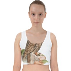 Bird Owl Animal Vintage Isolated Velvet Racer Back Crop Top