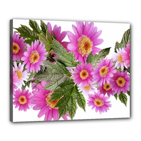 Daisies Flowers Arrangement Summer Canvas 20  X 16  by Sapixe