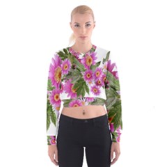 Daisies Flowers Arrangement Summer Cropped Sweatshirt by Sapixe