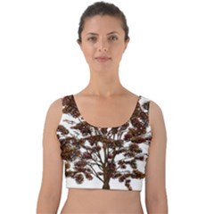 Tree Vector Ornament Color Velvet Crop Top by Sapixe