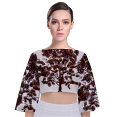 Tree Vector Ornament Color Tie Back Butterfly Sleeve Chiffon Top