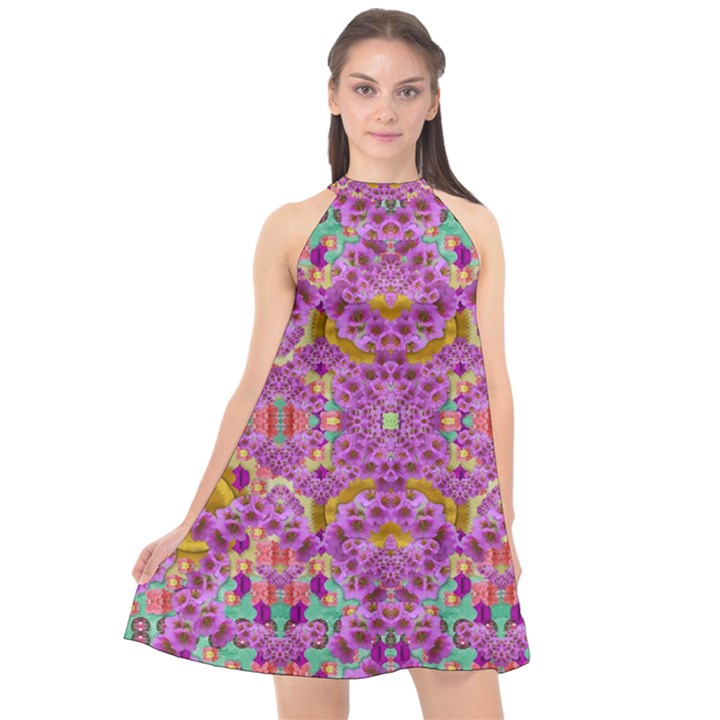 Fantasy Flower Festoon Garland Of Calm Halter Neckline Chiffon Dress 