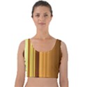 Course Gold Golden Background Velvet Crop Top View1