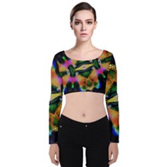 Butterfly Color Pop Art Velvet Crop Top