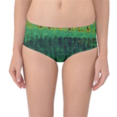 Green Fabric Textile Macro Detail Mid-waist Bikini Bottoms by Sapixe