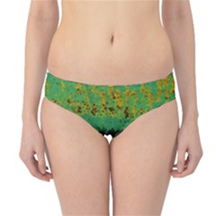 Green Fabric Textile Macro Detail Hipster Bikini Bottoms by Sapixe