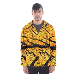 Golden Vein Hooded Windbreaker (men)