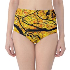 Golden Vein Classic High-waist Bikini Bottoms by FunnyCow