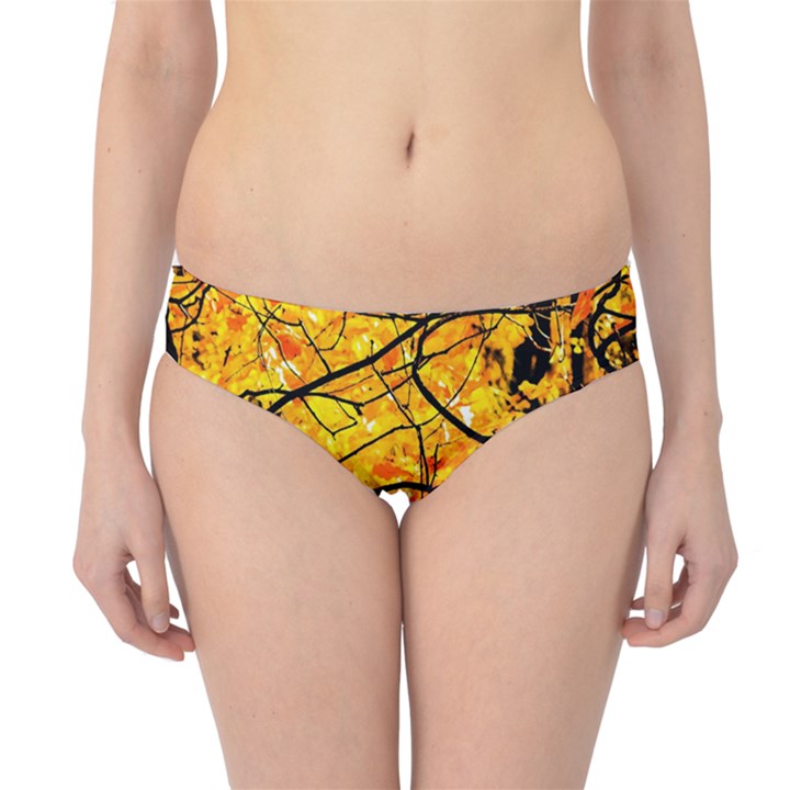 Golden Vein Hipster Bikini Bottoms